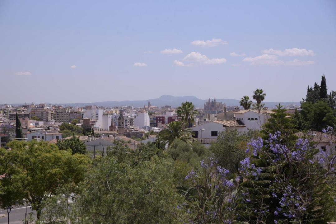 Photo of Others in Son Dureta