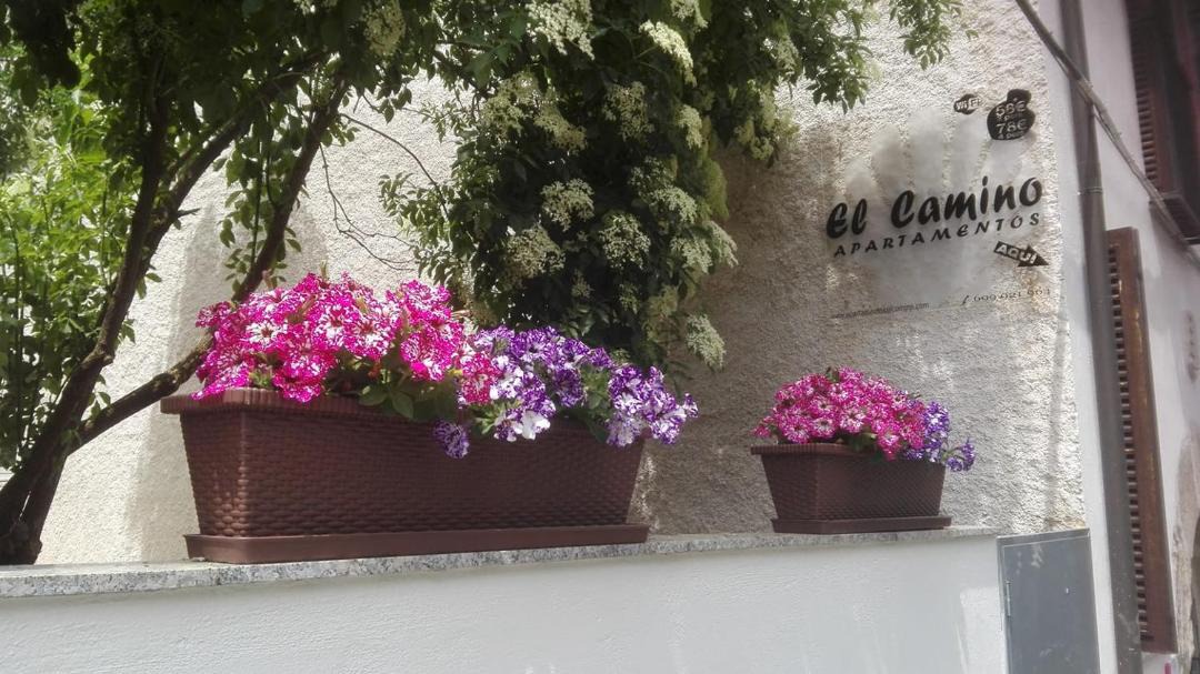 Photo of Others in Villafranca del Bierzo