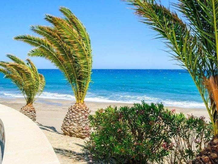 Photo of Outdoor in Mojacar