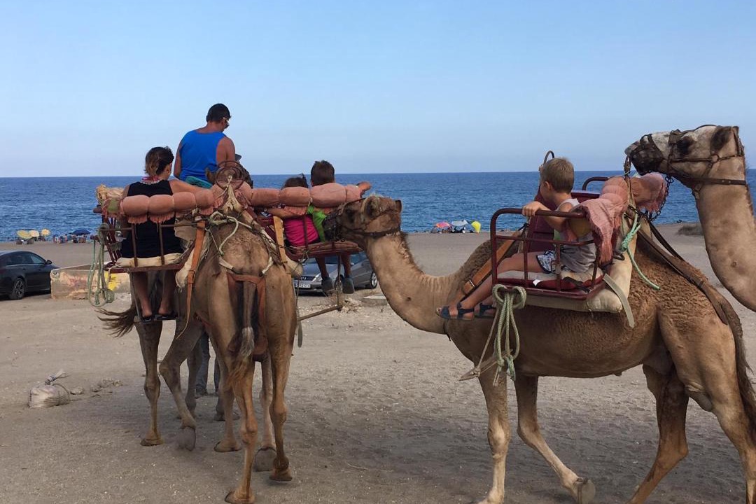 Photo of Human In Picture in Mojacar