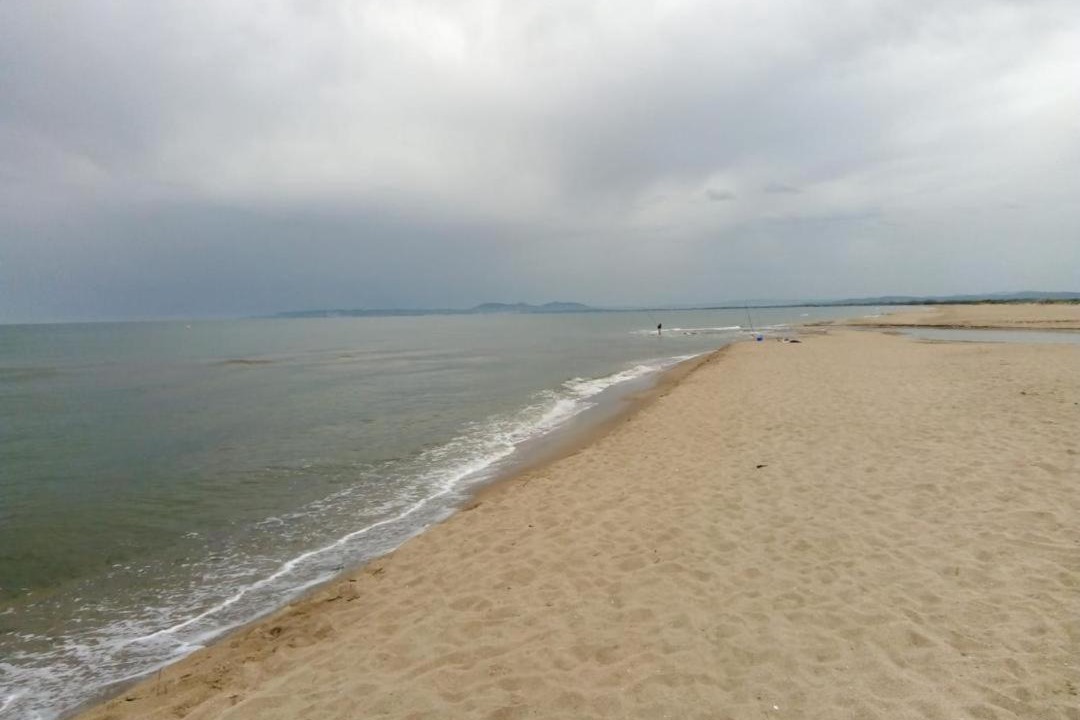 Photo of Others in Empuriabrava