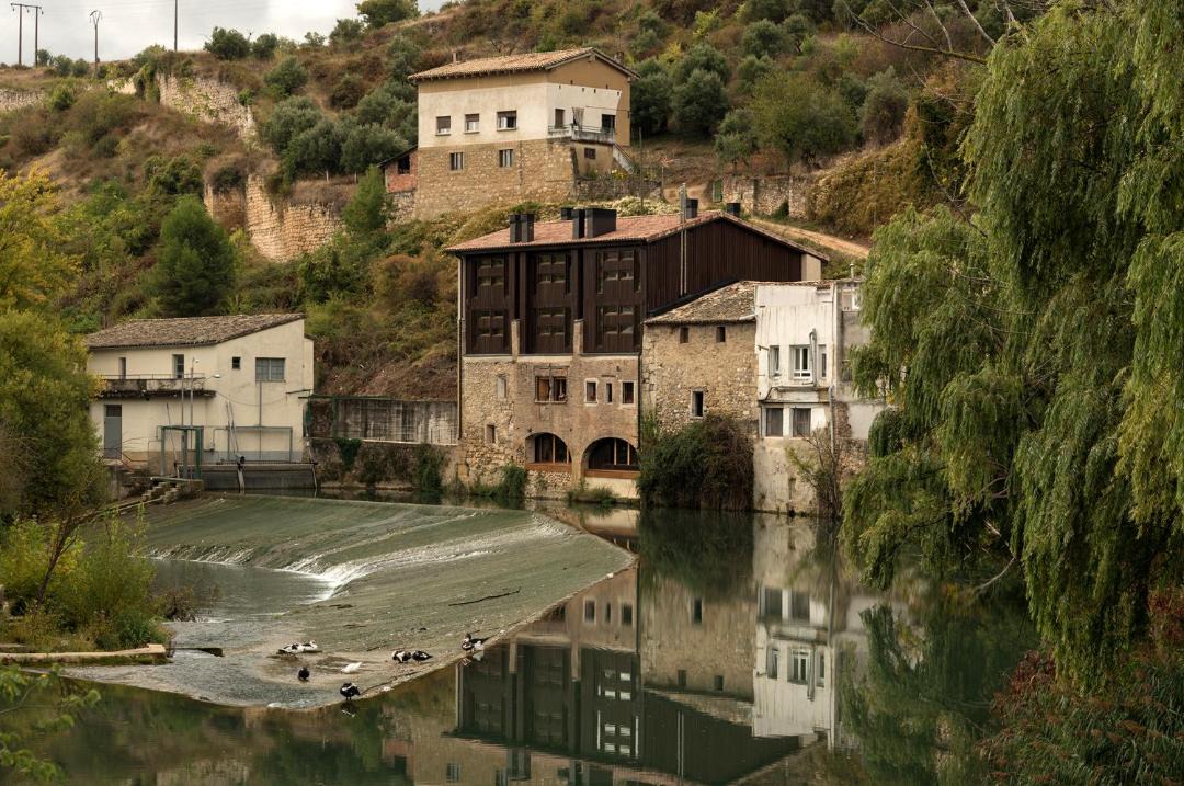 Photo of Others in Estella