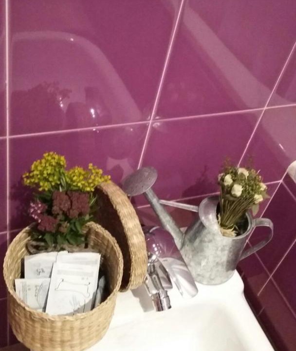 Photo of Bathroom in Polaciones