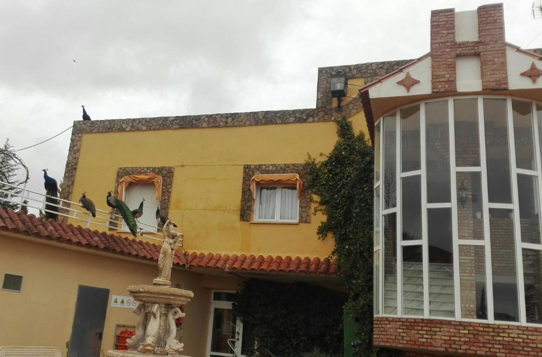 Photo of Others in Arcos de Jalon