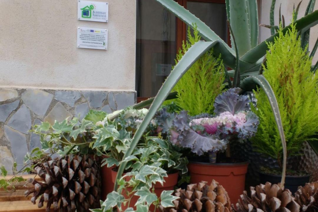 Photo of Others in Fuentes de Magana