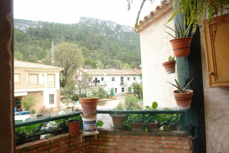 Photo of Others in Arroyo Frio