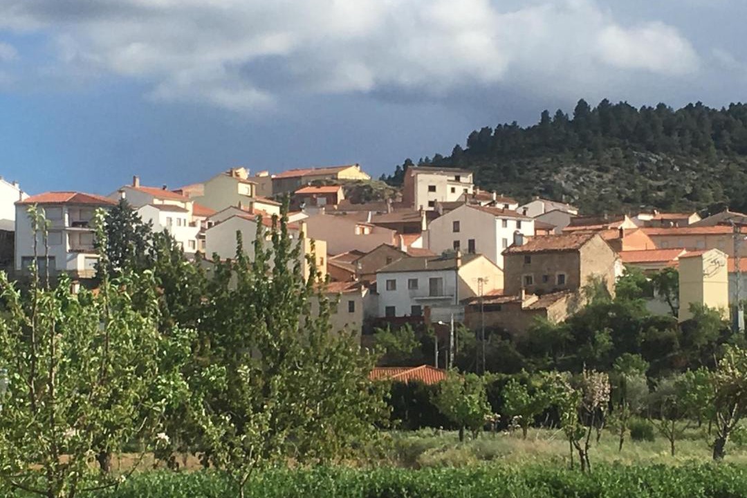 Photo of Others in Santa Cruz de Moya