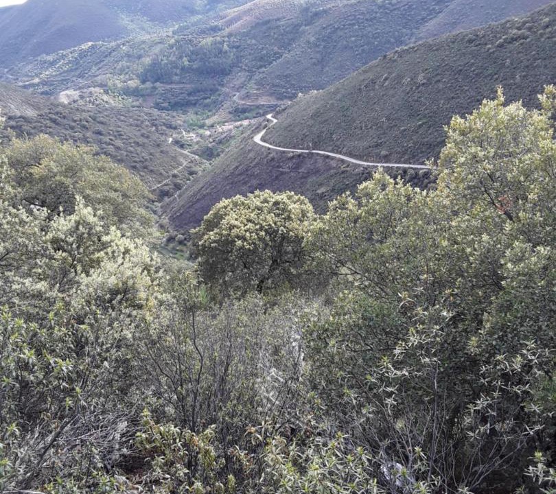 Photo of Others in San Miguel de Valero