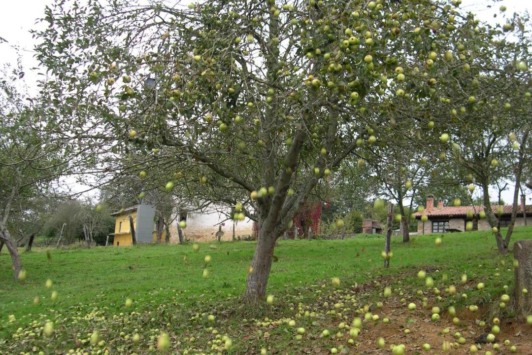Photo of Others in Vallobal