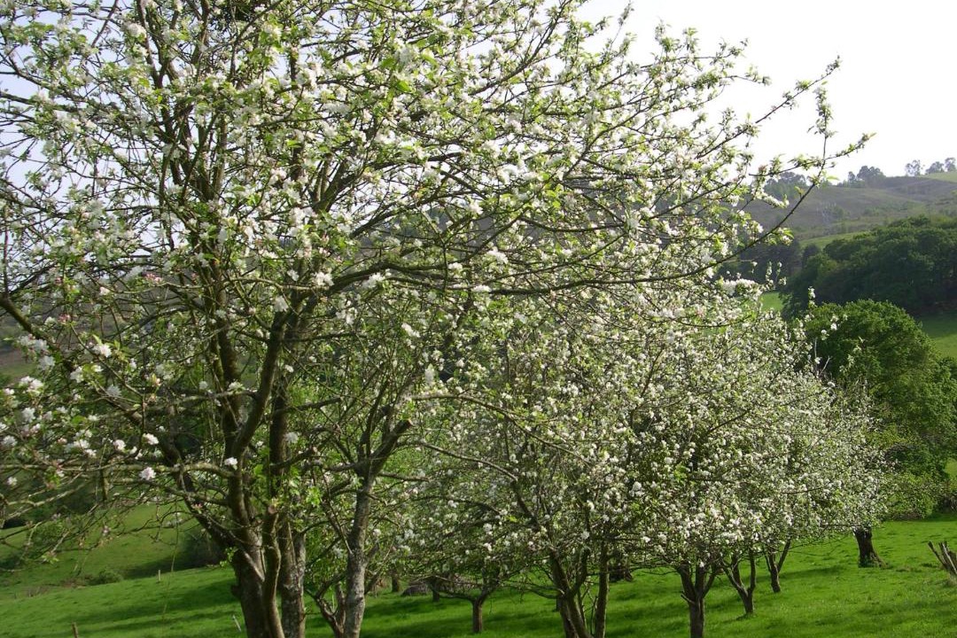 Photo of Outdoor in Vallobal