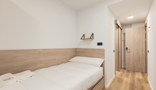 Basic Single Room