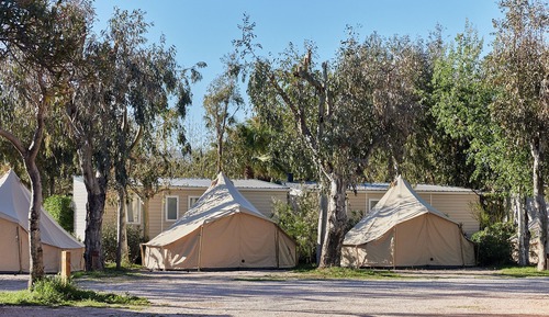 Economy Tent