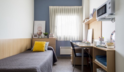 Standard Studio, 1 Twin Bed