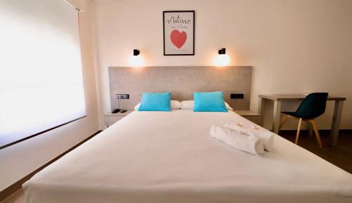 Superior Queen Room