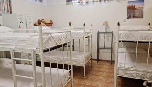 Bunk Bed in Mixed Dormitory Room