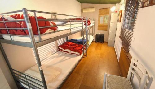 Bed in 4-Bed Female Dormitory Room