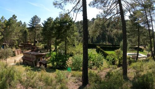 Cottage with Garden View