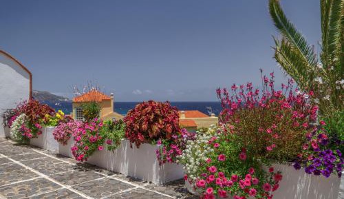 Two-Bedroom Apartment with Terrace
