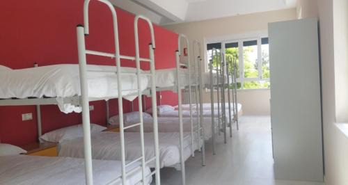 10-Bed Mixed Dormitory Room