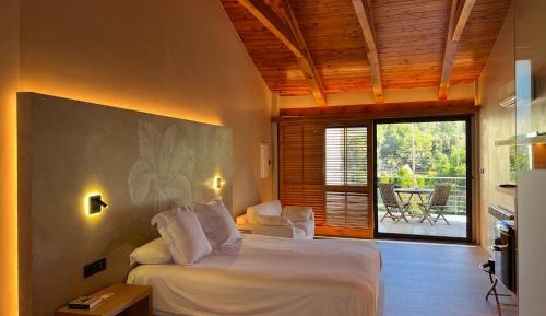 Deluxe King Suite