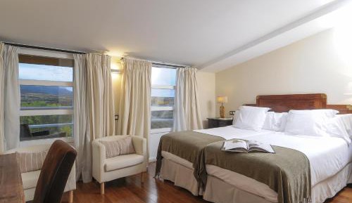 Classic double room with vineyard view