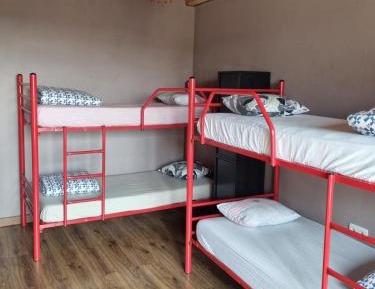 Bunk Bed in Mixed Dormitory Room