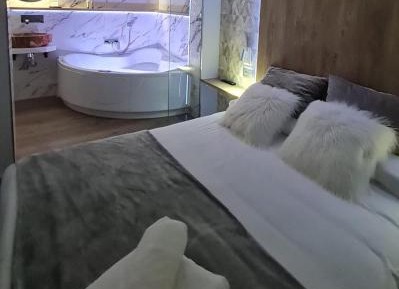 Penthouse Apartment