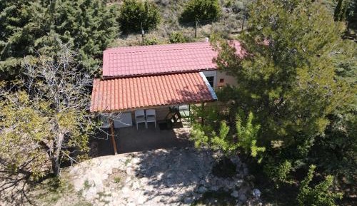 Family Bungalow
