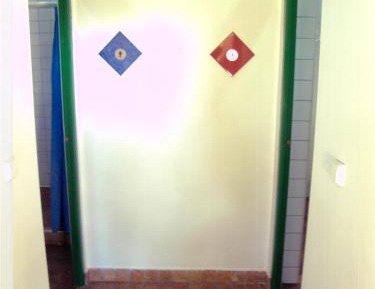 Bunk Bed in Mixed Dormitory Room