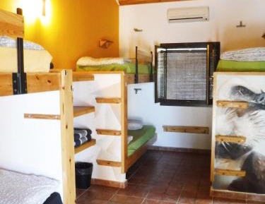 Single Bed in 6-Bed Dormitory Room