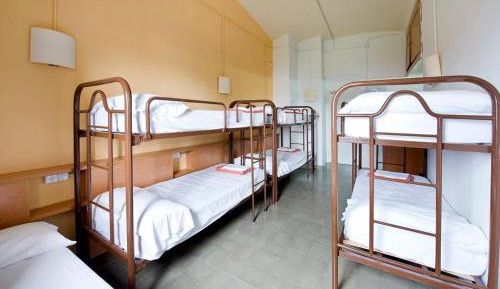 Bunk Bed in Mixed Dormitory Room with Shared Bathroom