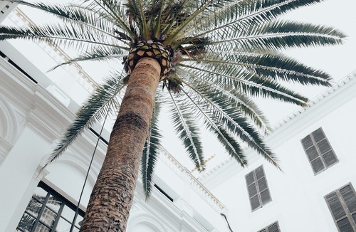 Sant Jaume Hotel | Hotel Born